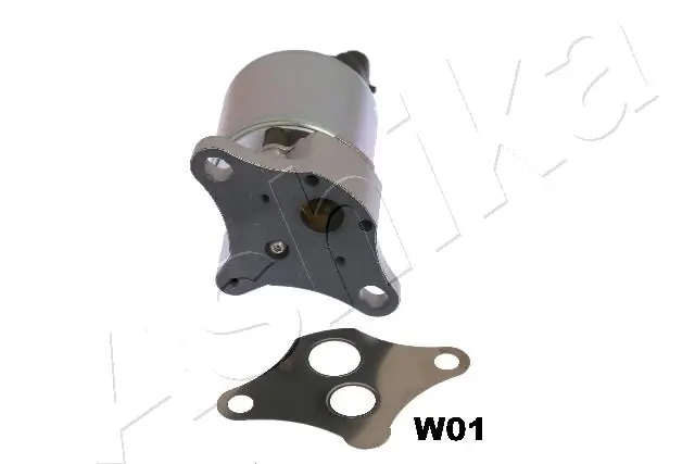 EGR Valve 150-0W-W01
