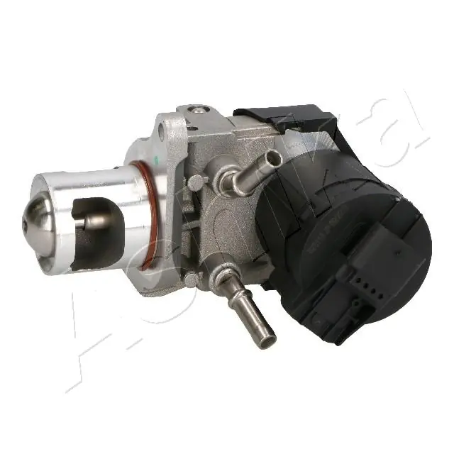 EGR Valve 150-00-0105