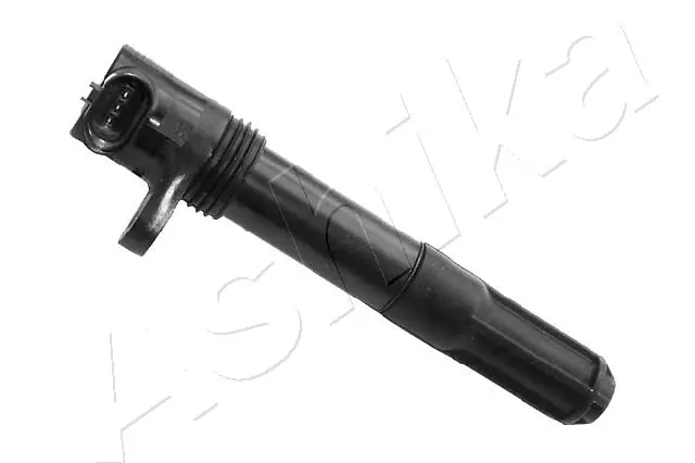Ignition Coil BO-0202JM
