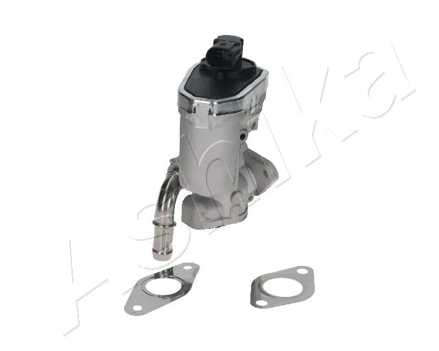 EGR Valve 150-00-0313