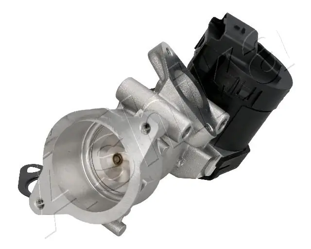 EGR Valve 150-00-0302