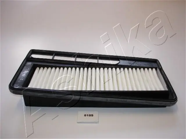 Air Filter 20-08-818