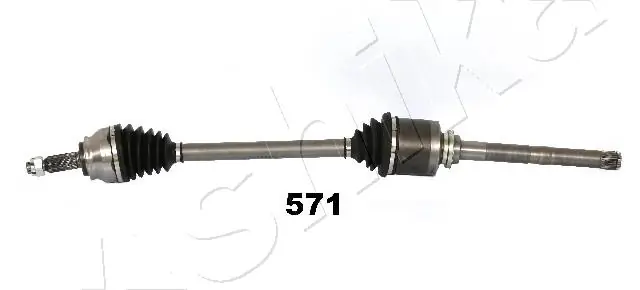 Drive Shaft 62-05-571