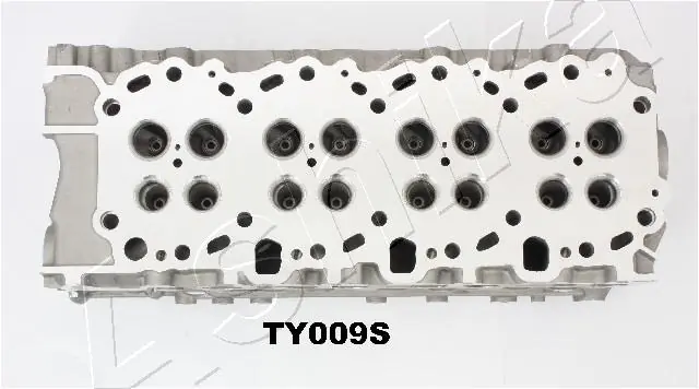 Cylinder Head TY009S