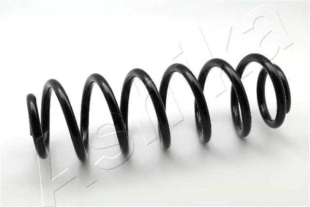 Suspension Spring ZCA6787H