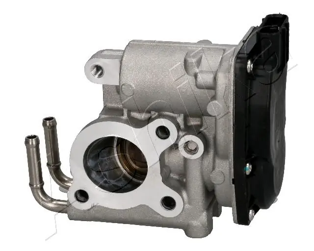 ASHIKA 150-02-204 EGR Valve