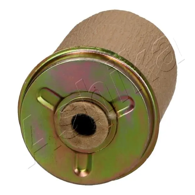 Fuel Filter 30-00-004