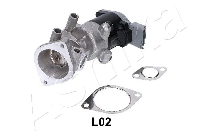 EGR Valve 150-0L-L02