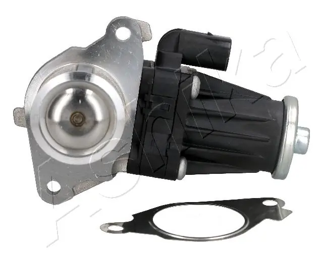 EGR Valve 150-00-0200