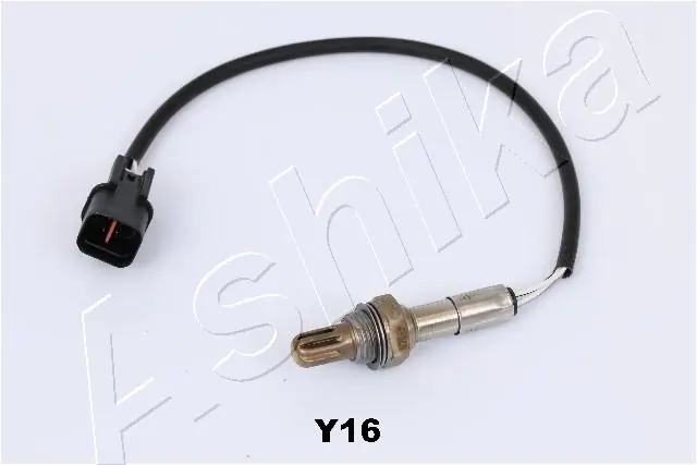 Oxygen Sensor 43-Y16