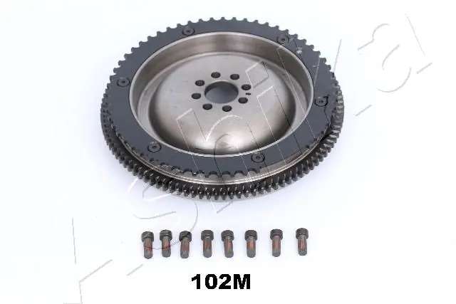 Flywheel 91-01-102M