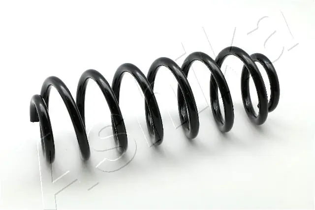 Suspension Spring ZCA6098H