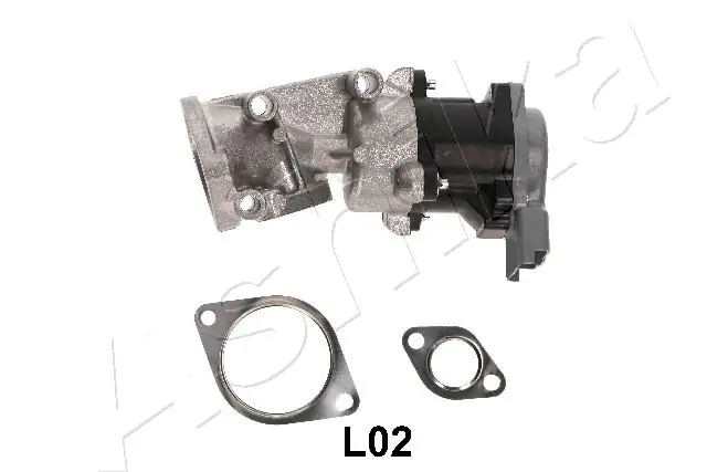 EGR Valve 150-0L-L02