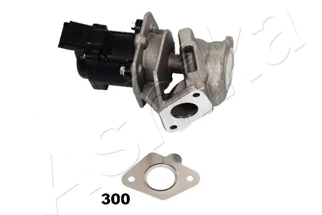 EGR Valve 150-03-300