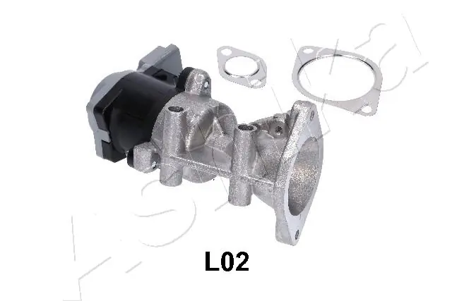 EGR Valve 150-0L-L02