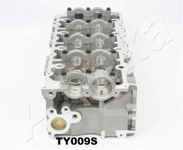 Cylinder Head TY009S