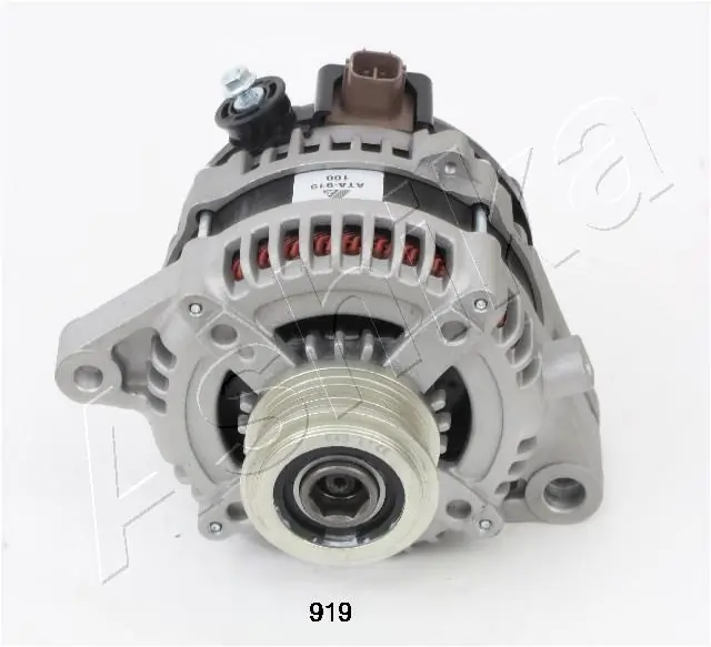 Alternator 002-T919