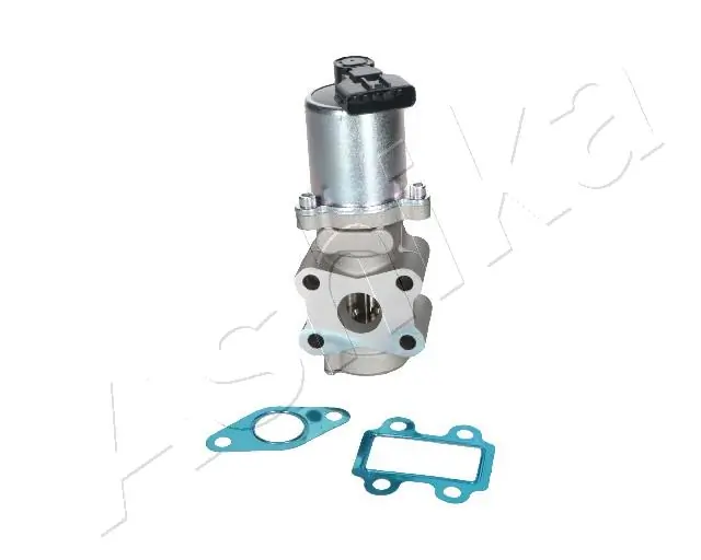 EGR Valve 150-02-203