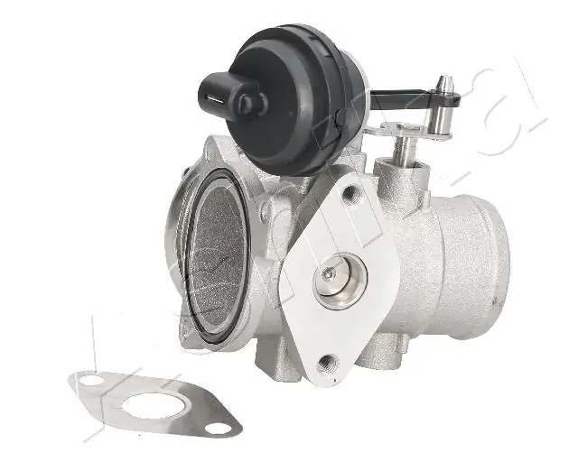 EGR Valve 150-00-0900