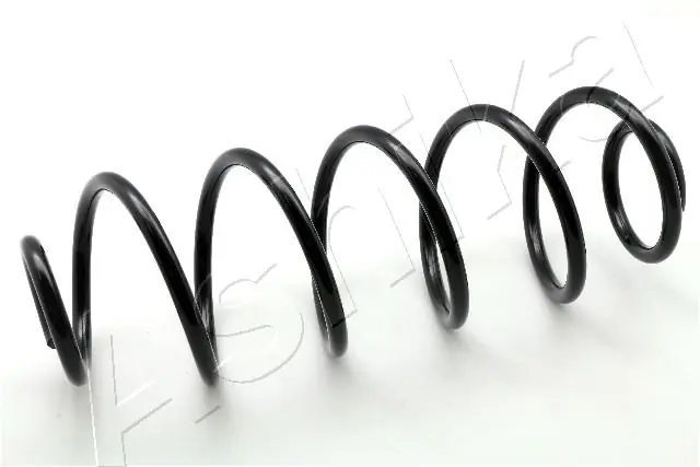 Suspension Spring ZCA6771H