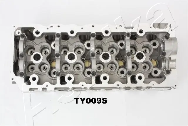 Cylinder Head TY009S