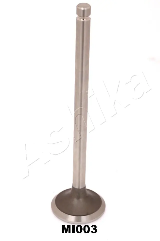 Exhaust Valve 15MI003