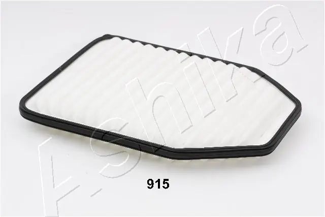 Air Filter 20-09-915