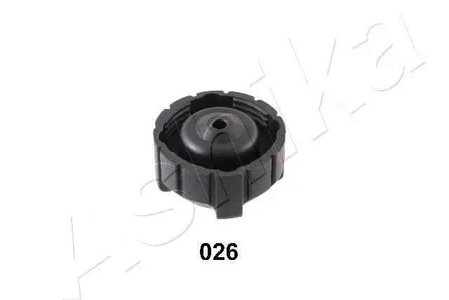 Cap, radiator 33-00-026