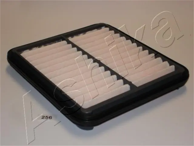 Air Filter 20-02-256