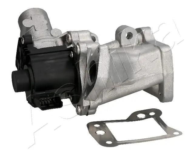 EGR Valve 150-0L-L06