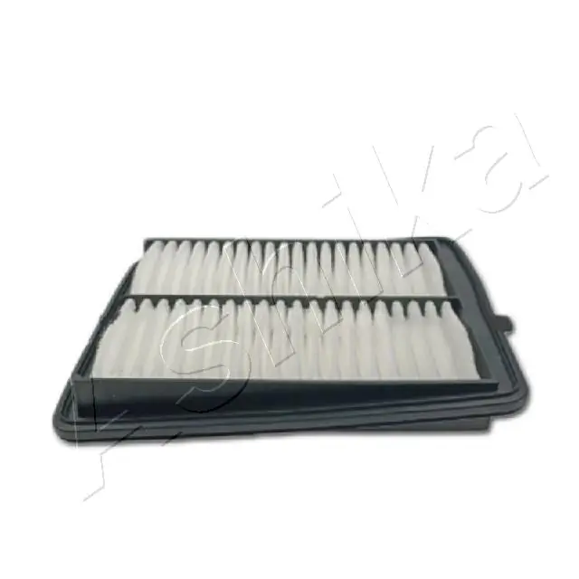 Air Filter 20-08-845