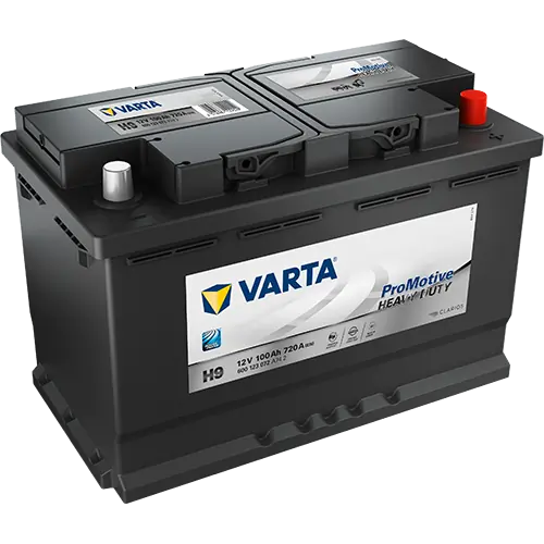 Starter Battery ProMotive HD 600123072A742