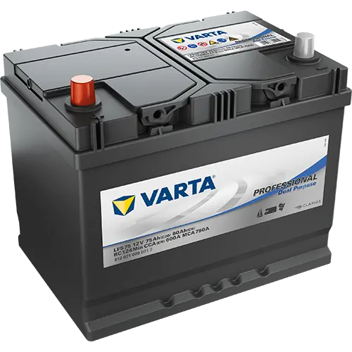 Starter Battery Professional Dual Purpose 812071000B912