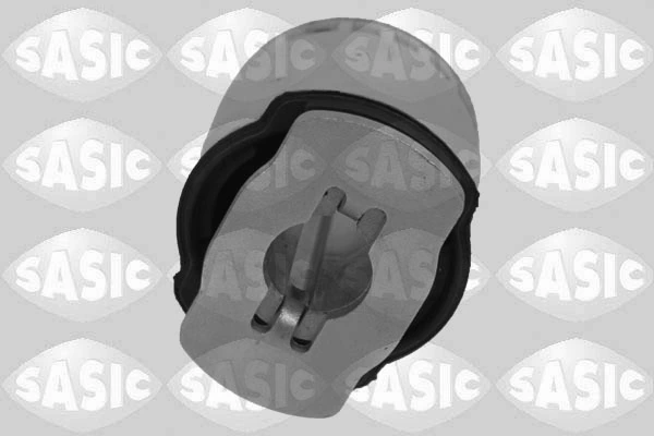 Bushing, axle cross member 2606045