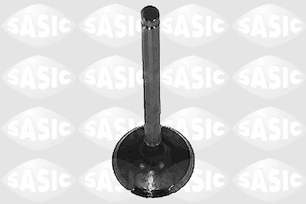 Intake Valve 4000915