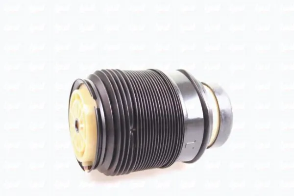Air Spring, suspension 43-2039