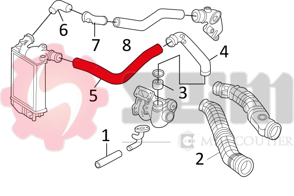 Charge Air Hose 981157