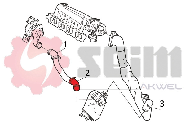 Charge Air Hose 981778