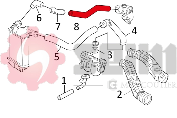 Charge Air Hose 981167