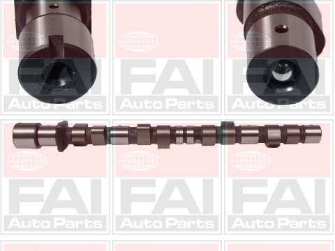 Camshaft C175