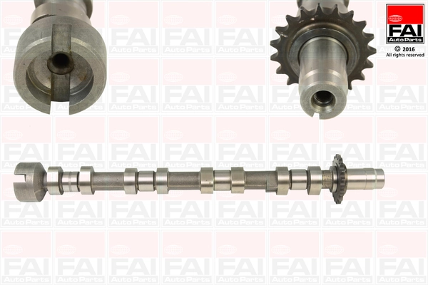 Camshaft C364