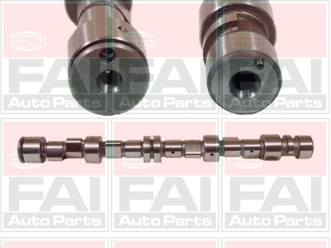 Camshaft C243
