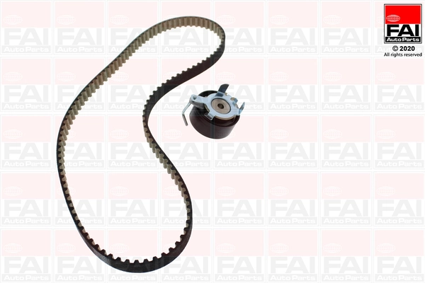 Timing Belt Kit TBK552