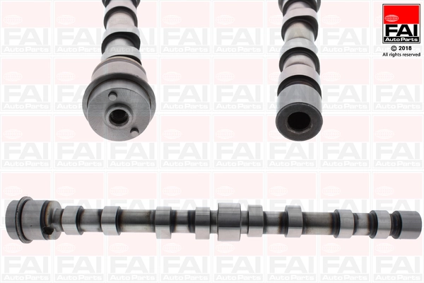 Camshaft C390