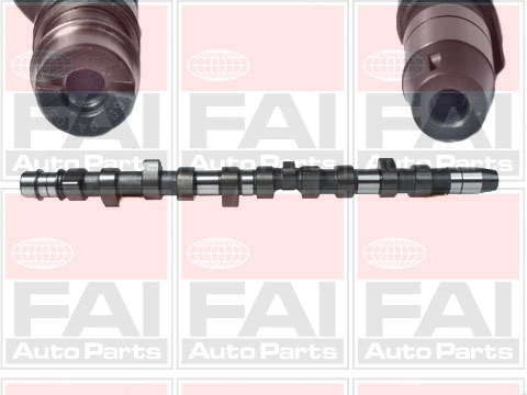 Camshaft C231
