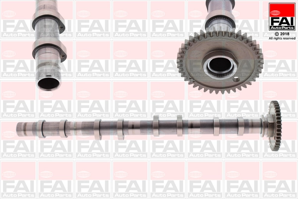 Camshaft C393