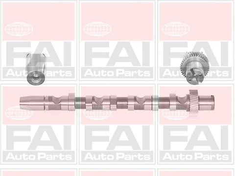 Camshaft C244