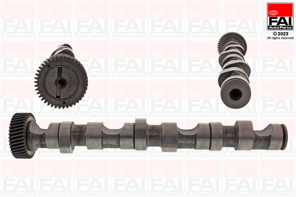 Camshaft C247