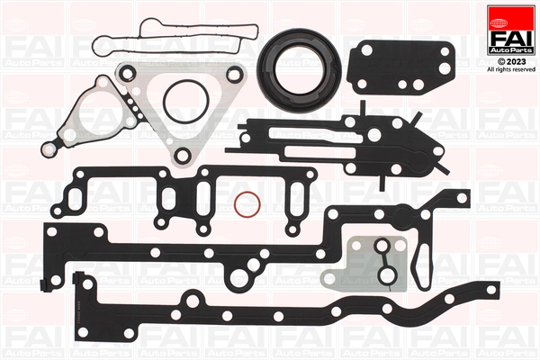 Gasket Kit, crankcase CS1002