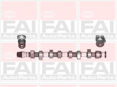 Camshaft C305